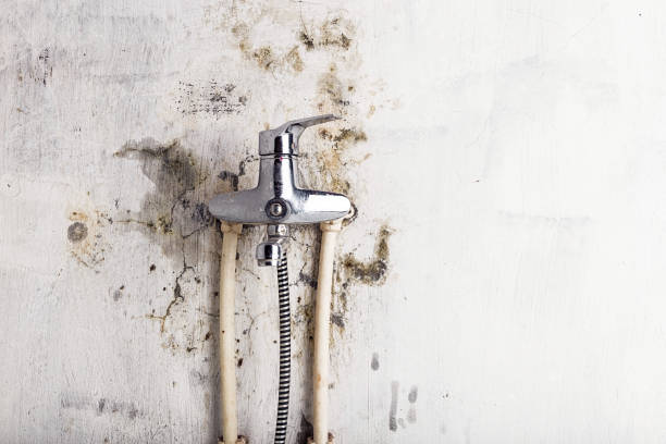Best Mold Testing  in Newpt, OR