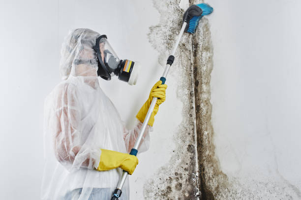 Best Crawl Space Mold Removal  in Newpt, OR